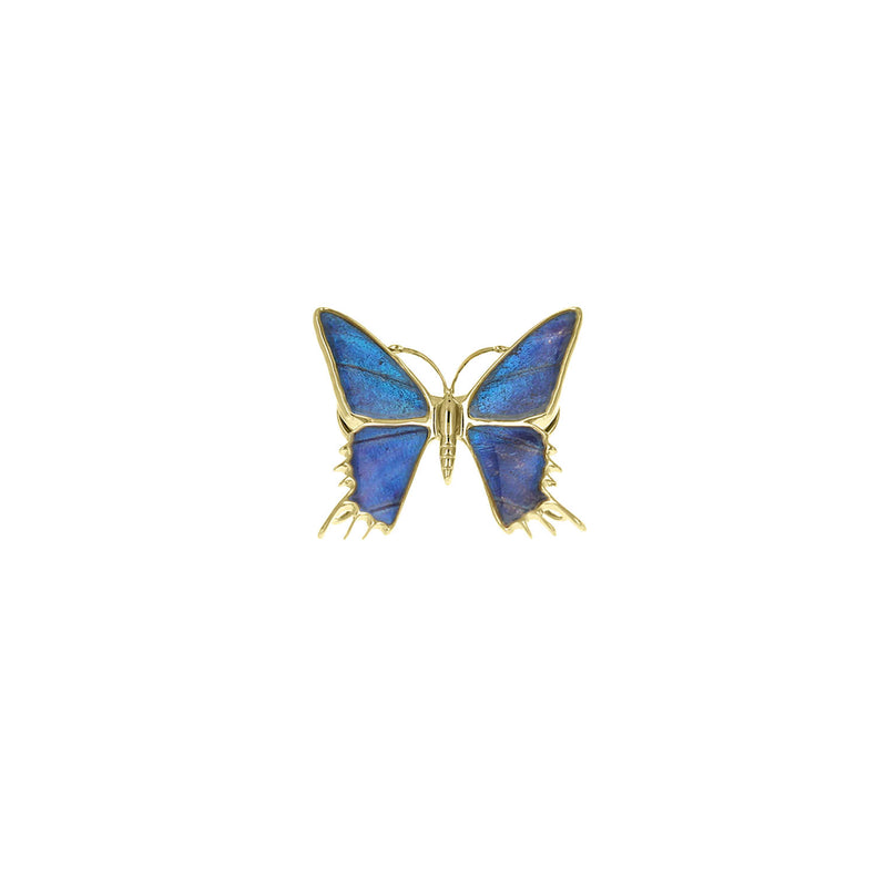 real blue butterfly wing gold magnetic brooch