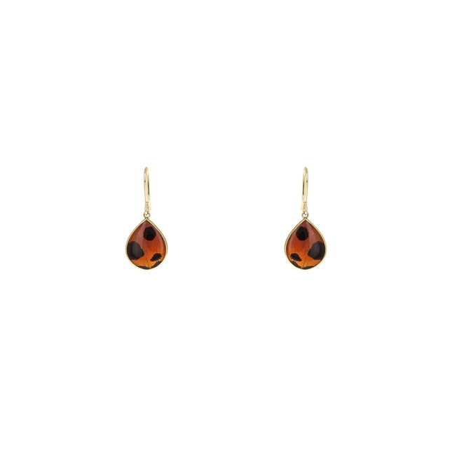 Sunset Moth Teardrops