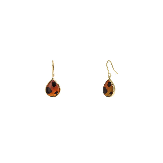 Sunset Moth Teardrops