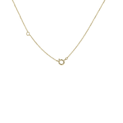 The Orange-Barred Sulphur Necklace