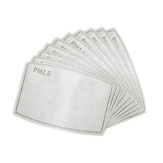 PM2.5 Filter (kids)