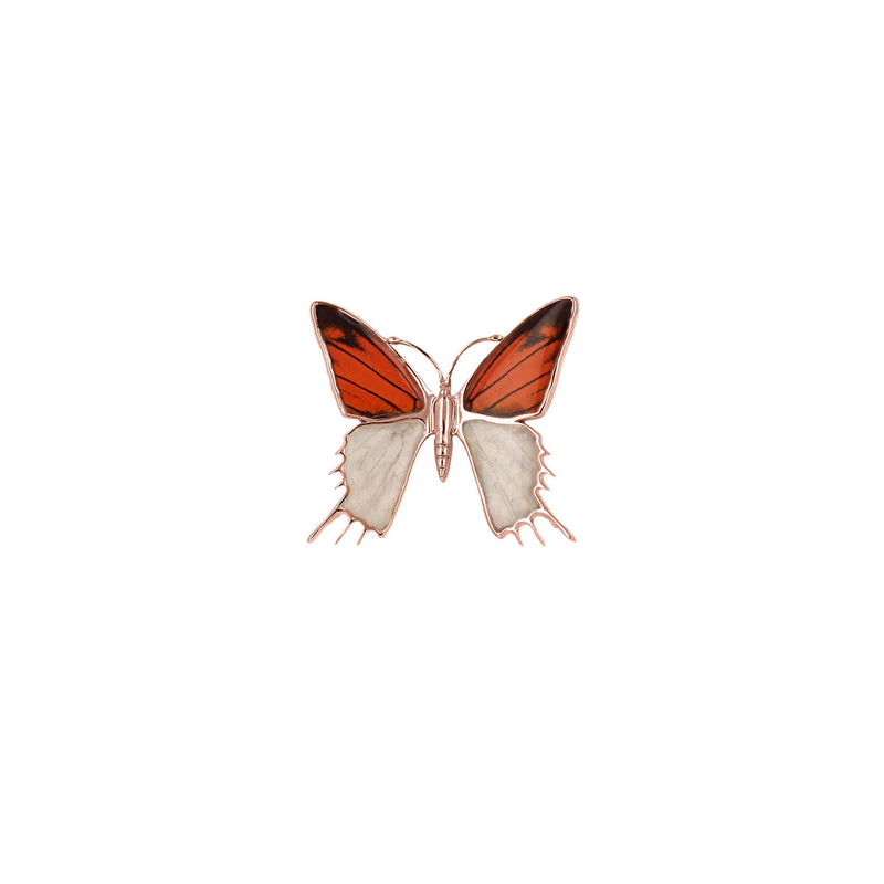The Great Orange Tip Butterfly Pin